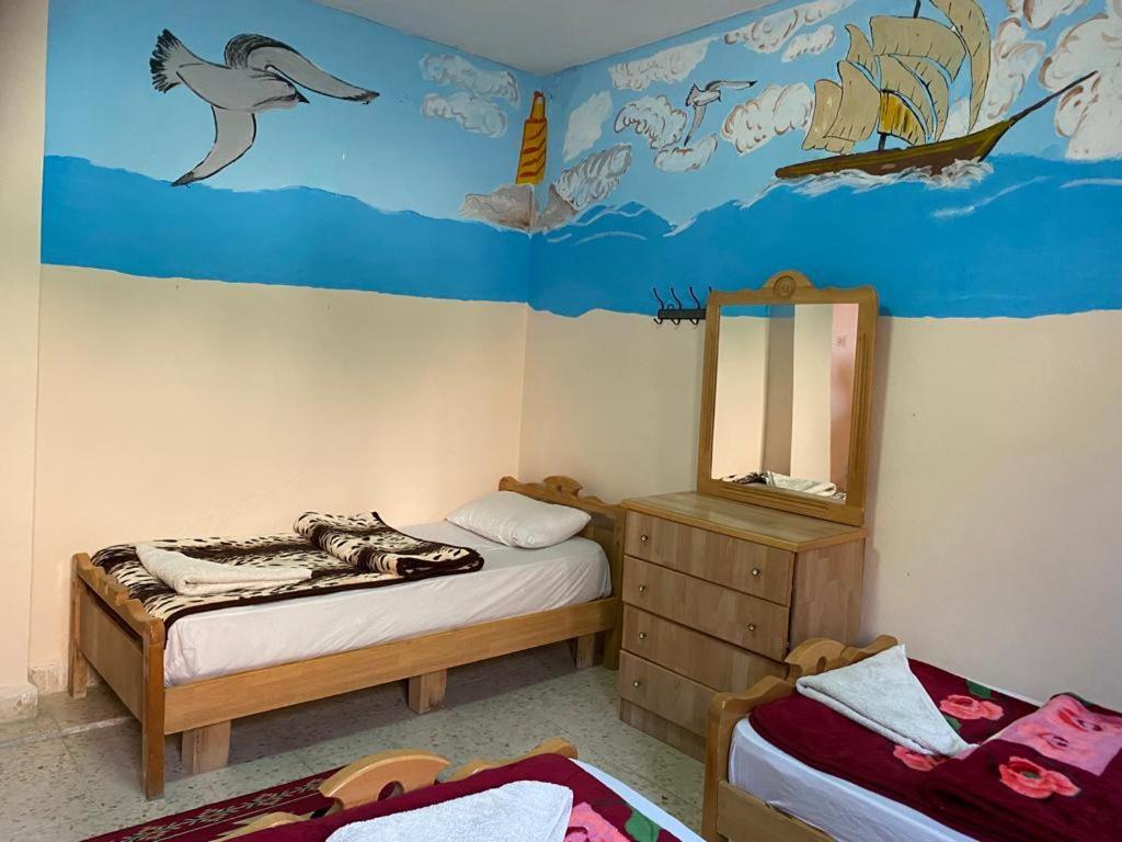 Dana Moon Hostel Room photo